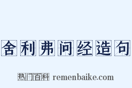 舍利弗问经造句是什么意思的图片